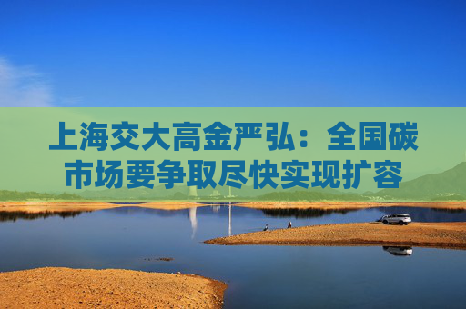 上海交大高金严弘：全国碳市场要争取尽快实现扩容