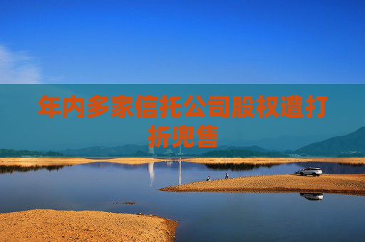 年内多家信托公司股权遭打折兜售