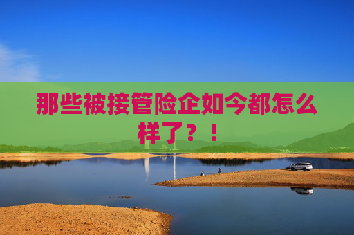 那些被接管险企如今都怎么样了？！