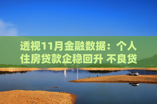 透视11月金融数据：个人住房贷款企稳回升 不良贷款核减加快、地方化债力度加大影响信贷存量