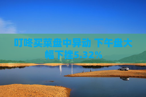 叮咚买菜盘中异动 下午盘大幅下挫5.32%