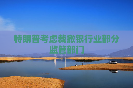 特朗普考虑裁撤银行业部分监管部门