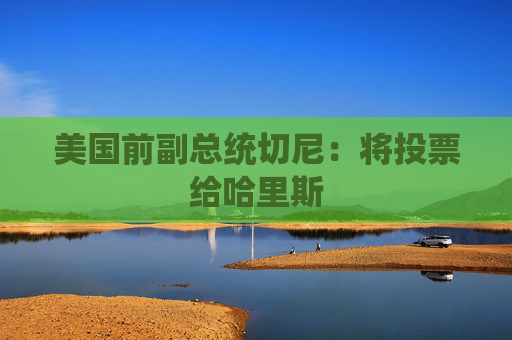 美国前副总统切尼：将投票给哈里斯