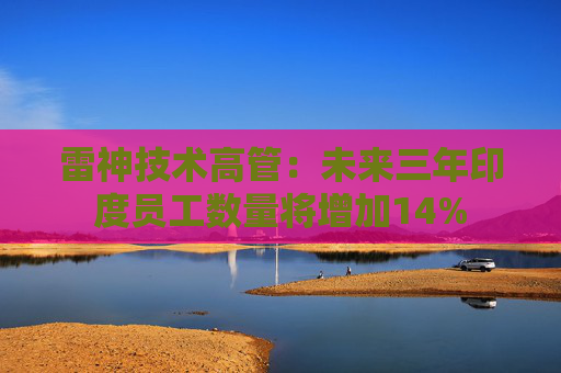 雷神技术高管：未来三年印度员工数量将增加14%