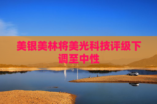 美银美林将美光科技评级下调至中性
