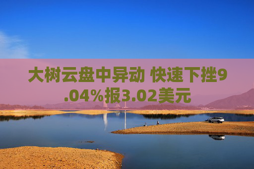 大树云盘中异动 快速下挫9.04%报3.02美元