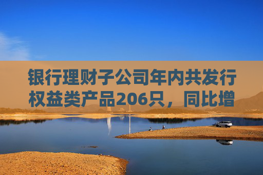 银行理财子公司年内共发行权益类产品206只，同比增长82.3%