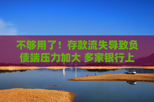 不够用了！存款流失导致负债端压力加大 多家银行上调今年同业存单备案额度