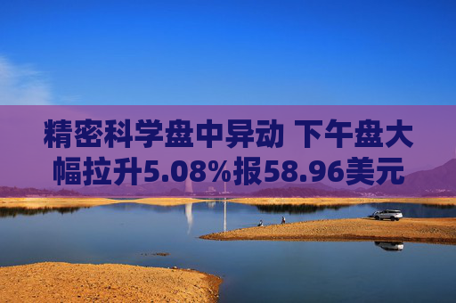 精密科学盘中异动 下午盘大幅拉升5.08%报58.96美元