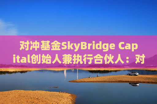 对冲基金SkyBridge Capital创始人兼执行合伙人：对MicroStrategy债务的担忧被夸大了