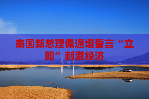 泰国新总理佩通坦誓言“立即”刺激经济