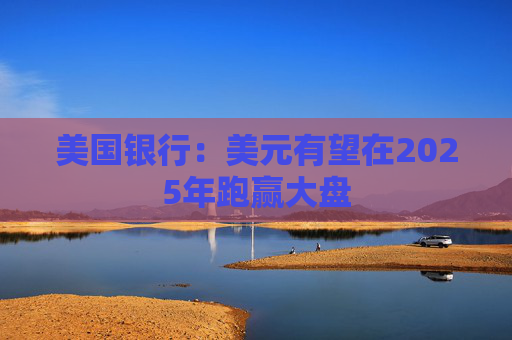美国银行：美元有望在2025年跑赢大盘