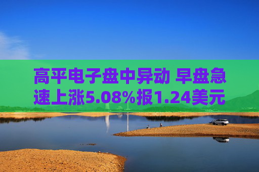高平电子盘中异动 早盘急速上涨5.08%报1.24美元