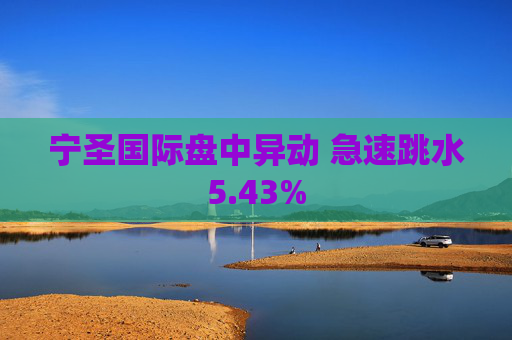 宁圣国际盘中异动 急速跳水5.43%