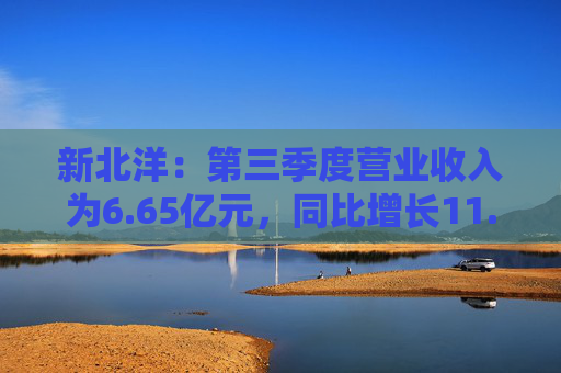 新北洋：第三季度营业收入为6.65亿元，同比增长11.43%