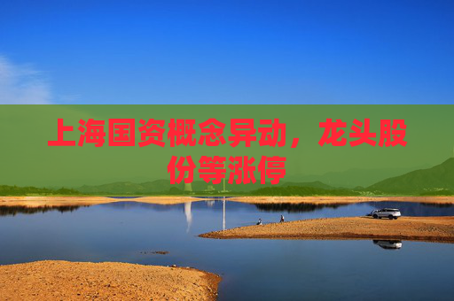 上海国资概念异动，龙头股份等涨停