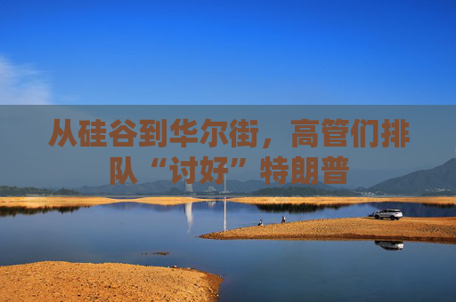 从硅谷到华尔街，高管们排队“讨好”特朗普