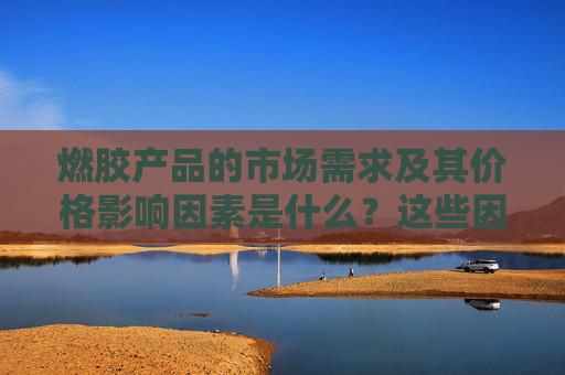 燃胶产品的市场需求及其价格影响因素是什么？这些因素如何影响能源市场？
