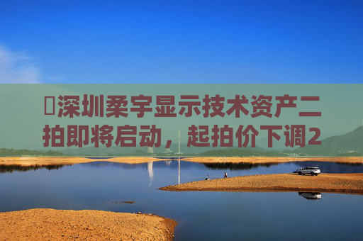 深圳柔宇显示技术资产二拍即将启动，起拍价下调2.5亿元
