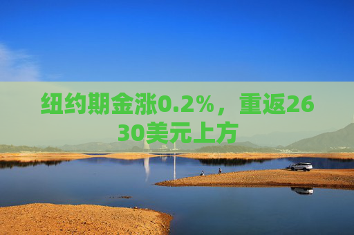 纽约期金涨0.2%，重返2630美元上方