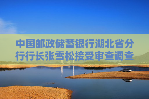 中国邮政储蓄银行湖北省分行行长张雪松接受审查调查