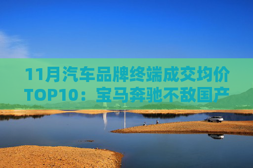 11月汽车品牌终端成交均价TOP10：宝马奔驰不敌国产