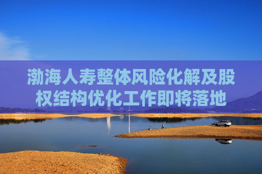 渤海人寿整体风险化解及股权结构优化工作即将落地