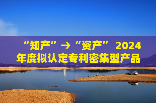“知产”→“资产” 2024年度拟认定专利密集型产品76%出自中小企业