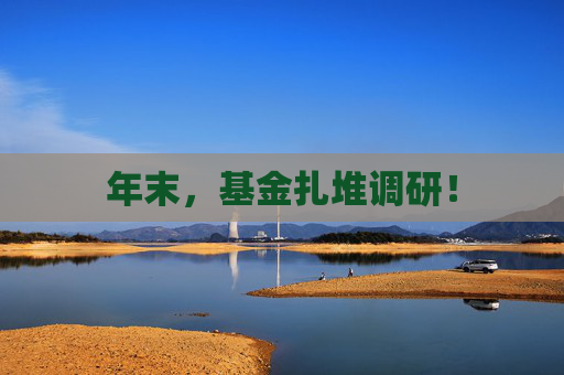 年末，基金扎堆调研！