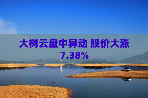 大树云盘中异动 股价大涨7.38%