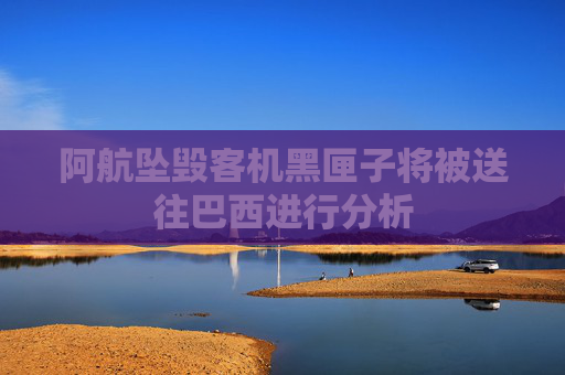 阿航坠毁客机黑匣子将被送往巴西进行分析