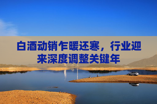 白酒动销乍暖还寒，行业迎来深度调整关键年