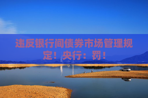 违反银行间债券市场管理规定！央行：罚！