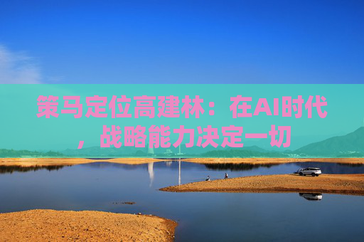 策马定位高建林：在AI时代，战略能力决定一切
