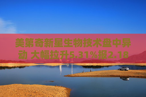 美第奇新星生物技术盘中异动 大幅拉升5.31%报2.18美元