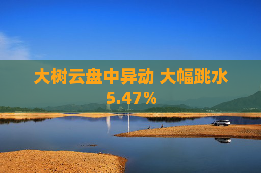 大树云盘中异动 大幅跳水5.47%