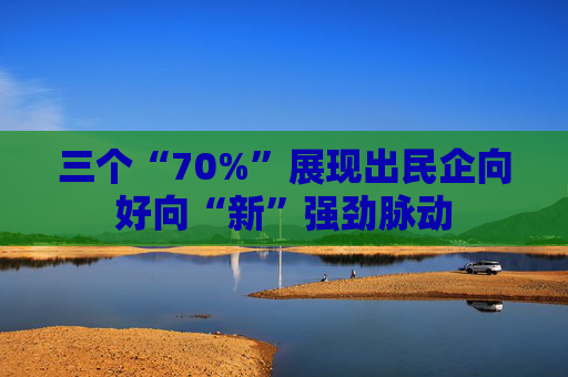 三个“70%”展现出民企向好向“新”强劲脉动