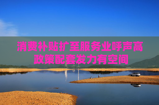 消费补贴扩至服务业呼声高 政策配套发力有空间