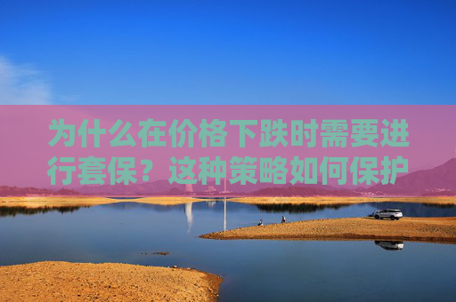 为什么在价格下跌时需要进行套保？这种策略如何保护投资者的利益？