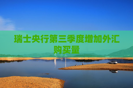 瑞士央行第三季度增加外汇购买量