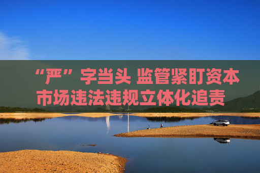 “严”字当头 监管紧盯资本市场违法违规立体化追责