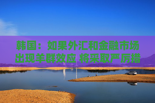 韩国：如果外汇和金融市场出现羊群效应 将采取严厉措施应对