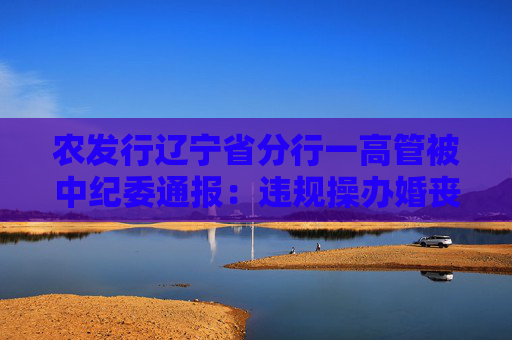 农发行辽宁省分行一高管被中纪委通报：违规操办婚丧喜庆