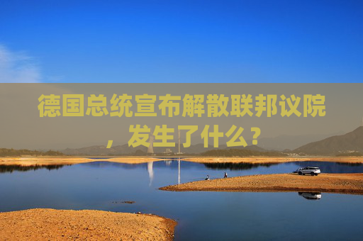 德国总统宣布解散联邦议院，发生了什么？