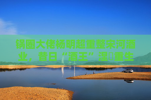 锅圈大佬杨明超重整宋河酒业，昔日“酒王”涅槃重生？