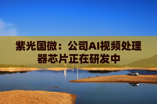 紫光国微：公司AI视频处理器芯片正在研发中