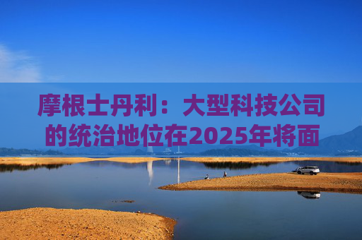 摩根士丹利：大型科技公司的统治地位在2025年将面临危险