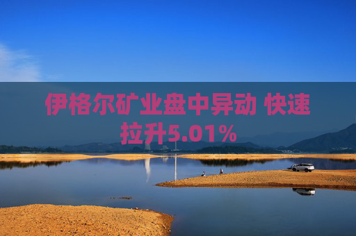 伊格尔矿业盘中异动 快速拉升5.01%