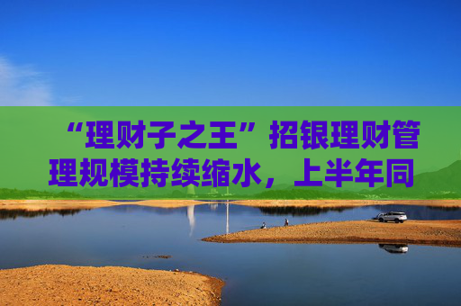 “理财子之王”招银理财管理规模持续缩水，上半年同比少赚2.13亿元