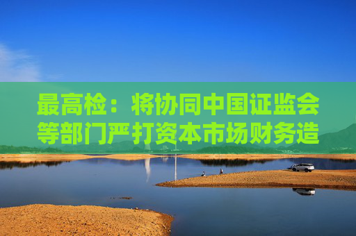 最高检：将协同中国证监会等部门严打资本市场财务造假各类犯罪